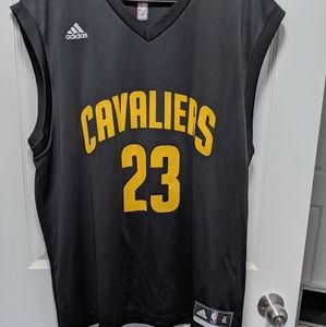 LeBron James Cavaliers jersey!